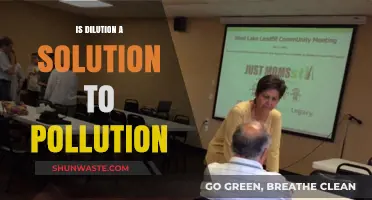 Dilution: A Solution or Pollution's Illution?