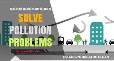 Dilution as a Pollution Solution: Effective or Not?
