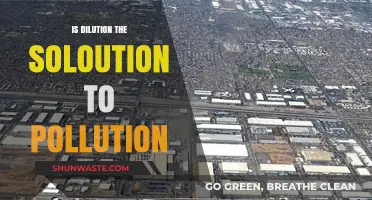 Dilution: A Viable Solution to Pollution?