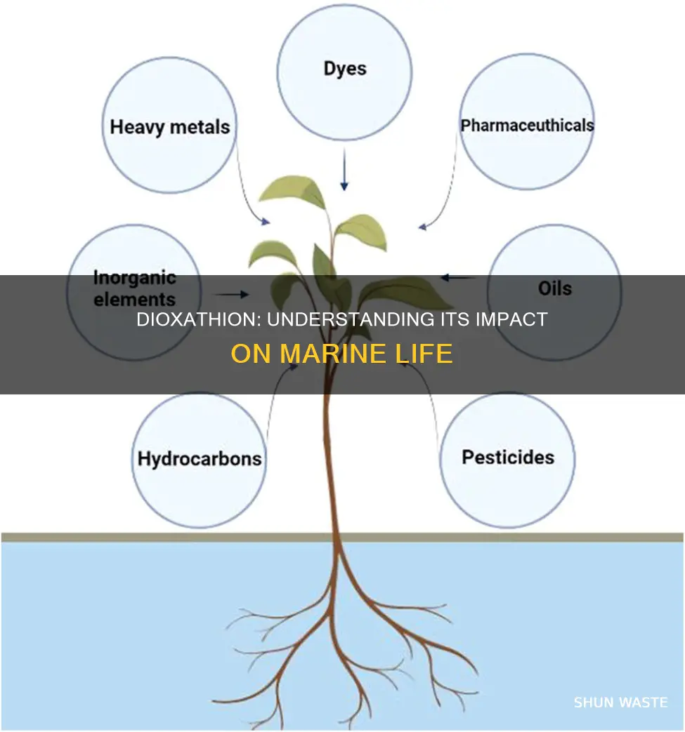 is dioxathion a marine pollutant