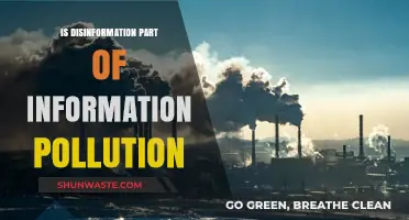 Disinformation: The Toxic Side of Information