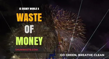 Is Disney World Worth It? Debunking the Costly Myth