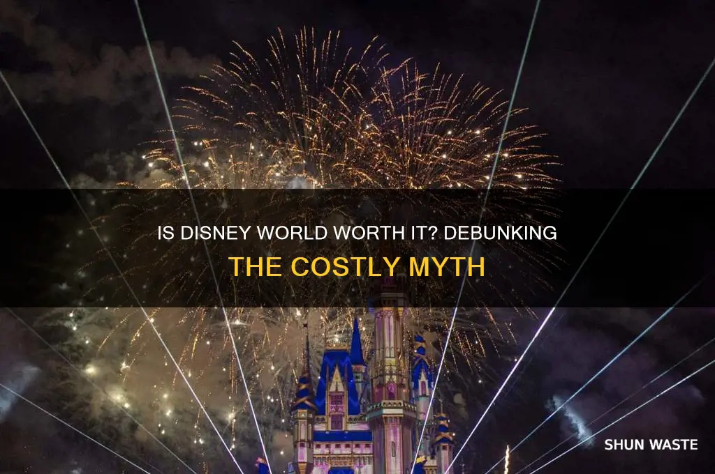 is disney world a waste of money