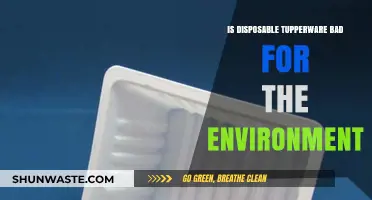 Disposable Tupperware: Environmental Impact and Sustainable Alternatives Explored