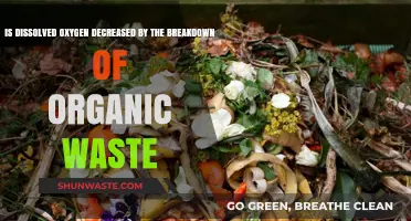 Organic Waste Breakdown: Impact on Dissolved Oxygen Levels Explained