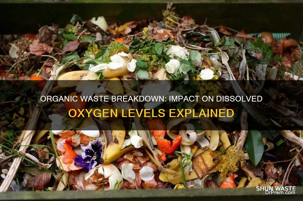 is dissolved oxygen decreased by the breakdown of organic waste