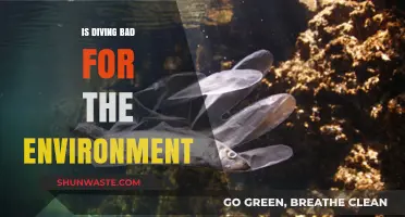 Diving's Environmental Impact: Harmful or Sustainable Practice?