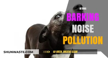 Howling Hound: Noise Pollution or Natural Sound?
