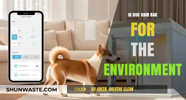 Is Dog Hair Eco-Friendly? Environmental Impact of Pet Shedding Explained