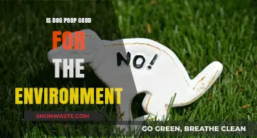 Is Dog Poop Eco-Friendly? Uncovering Its Environmental Impact and Benefits