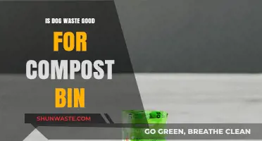 Can Dog Waste Safely Enrich Your Compost Bin? A Green Guide