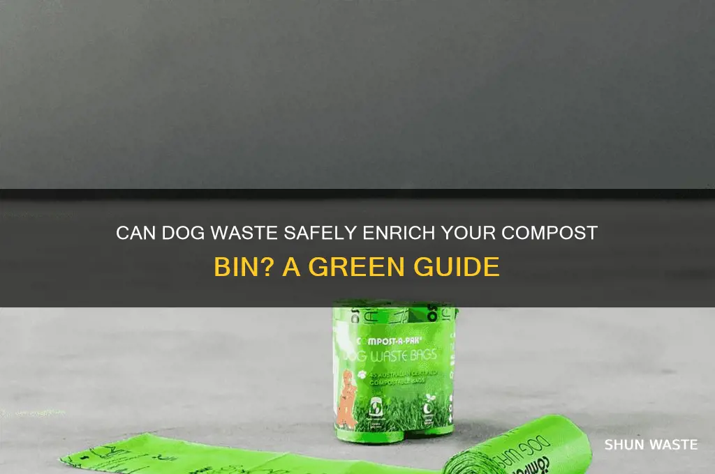 is dog waste good for compost bin