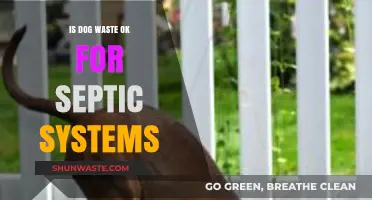 Can Dog Waste Safely Go in Septic Systems? Expert Insights