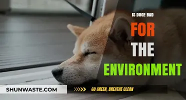 Is Dogecoin Eco-Friendly? Environmental Impact of Doge Explained