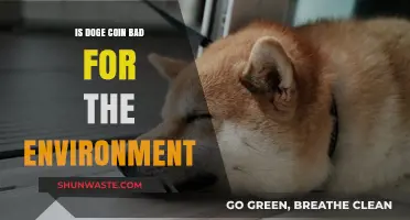 Is Dogecoin Harming Our Planet? Environmental Impact Explored