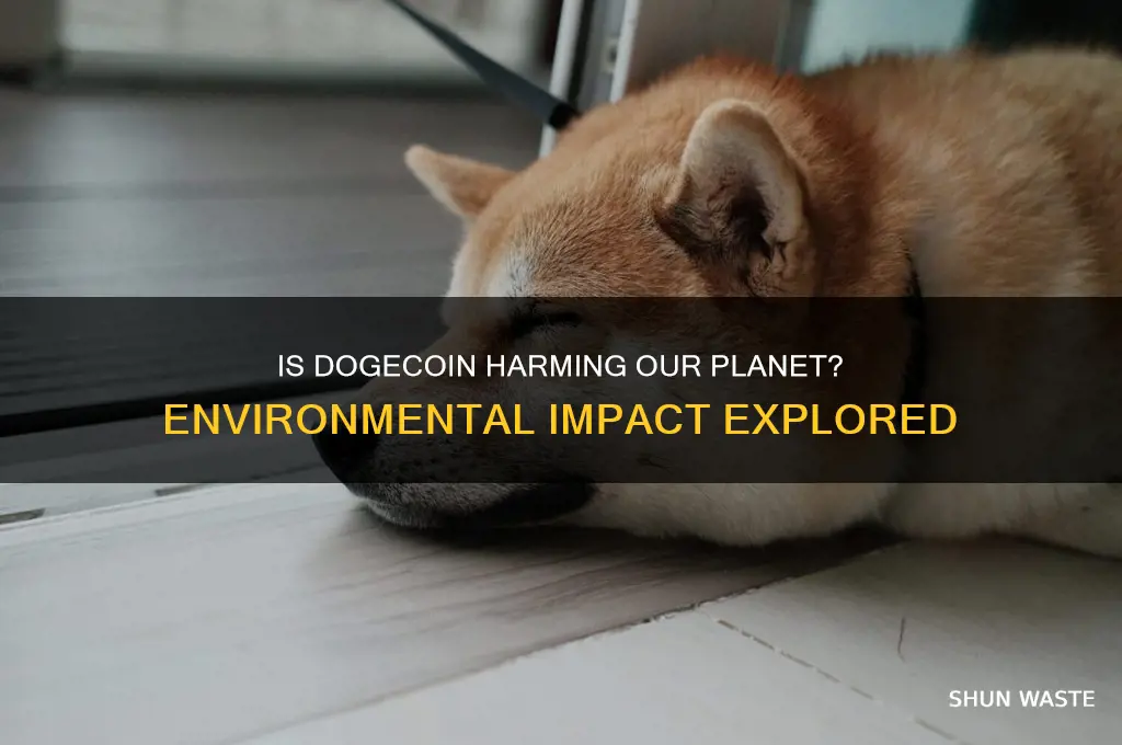 is doge coin bad for the environment