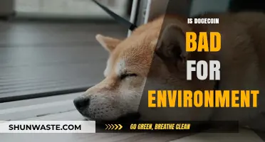 Dogecoin's Environmental Impact: Sustainable Meme Coin or Eco-Disaster?