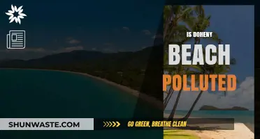 Doheny Beach Pollution: Is It Safe to Swim?