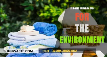 Is Your Laundry Routine Harming the Planet? Eco-Friendly Tips