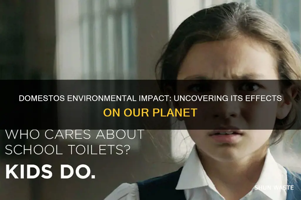 is domestos bad for the environment
