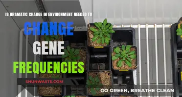 Dramatic Environmental Shifts: Catalysts for Gene Frequency Evolution?