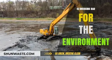 Dredging's Environmental Impact: Harmful Practice or Necessary Evil?