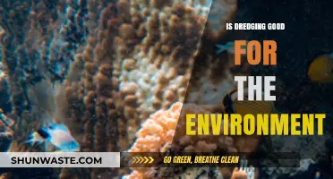 Dredging's Environmental Impact: Benefits, Challenges, and Sustainable Practices Explored