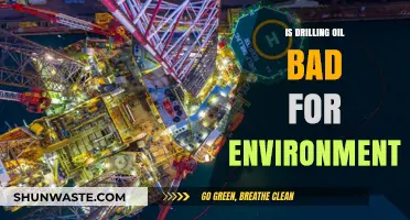 Drilling for Oil: Environmental Impact and Sustainable Alternatives Explored
