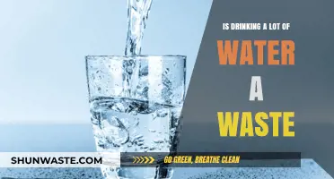 Is Drinking Excess Water Beneficial or Just a Waste?