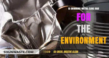 Metal Cans vs. Environment: Uncovering the Eco-Impact of Beverage Packaging