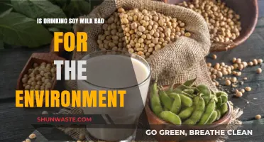 Soy Milk's Environmental Impact: Sustainable Choice or Eco-Friendly Myth?