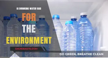 Is Drinking Water Harming Our Planet? Exploring the Environmental Impact