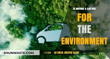 Driving's Environmental Impact: Is Your Car Harming the Planet?