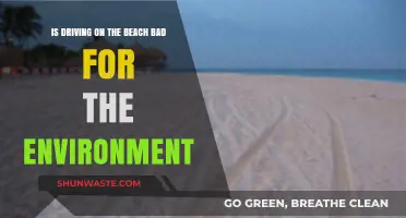 Driving on the Beach: Environmental Impact and Sustainable Alternatives