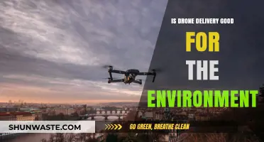 Drone Delivery: Eco-Friendly Innovation or Environmental Concern?