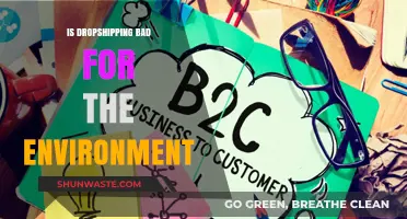 Dropshipping's Environmental Impact: Sustainable or Harmful Business Model?