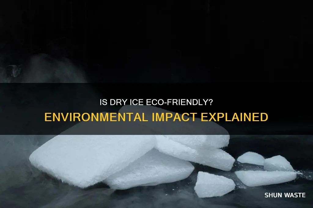 is dry ice bad for the environment