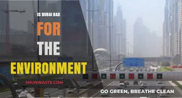 Dubai's Environmental Impact: Sustainable City or Ecological Challenge?