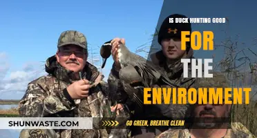 Duck Hunting's Environmental Impact: Conservation or Ecological Concern?