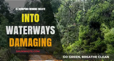 Dumping Mining Waste in Waterways: Environmental Damage and Long-Term Consequences