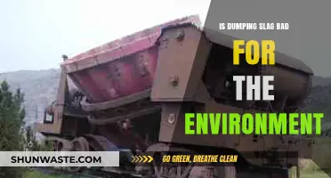 Environmental Impact of Slag Dumping: Harmful or Harmless?
