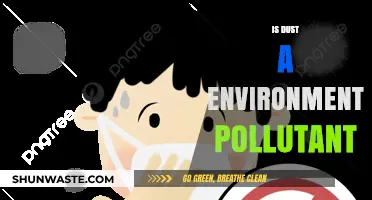 Dust: A Silent Environmental Pollutant?