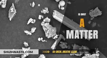 Dust: What Is It Made Of?