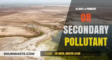 Dust: Primary or Secondary Pollutant?