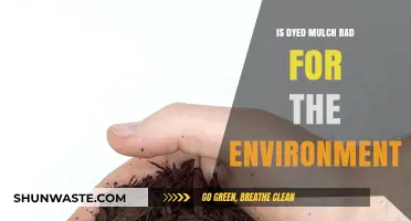Is Dyed Mulch Eco-Friendly? Environmental Impact and Sustainable Alternatives