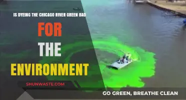 Is Chicago's Green River Tradition Harming the Environment?