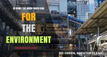 Is Dying Rivers Green Harmful to Ecosystems and Environmental Health?