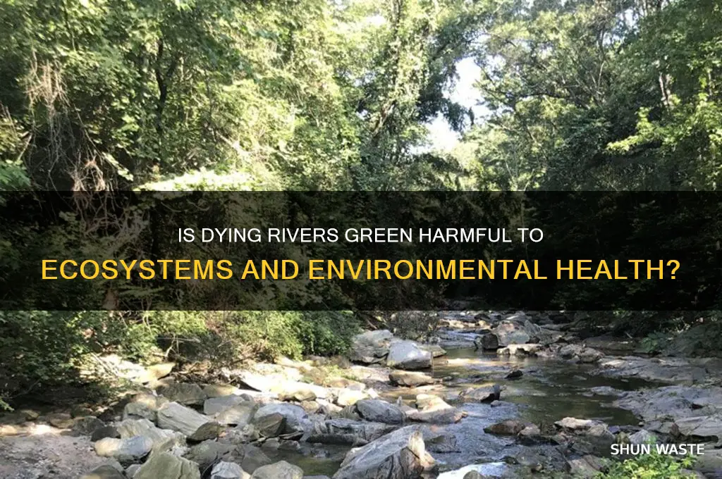is dying the river green bad for the environment