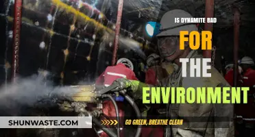 Explosive Impact: How Dynamite Affects Our Environment and Ecosystems