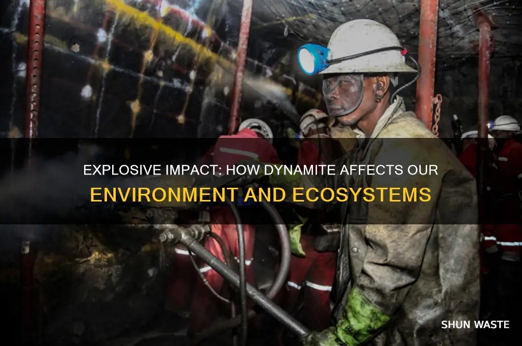 is dynamite bad for the environment